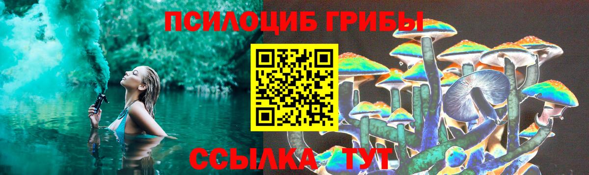 Галлюциногенные грибы Psilocybine cubensis Мурино