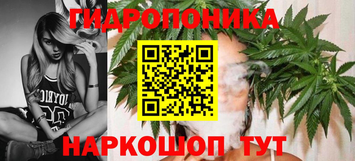МАРИХУАНА сатива  Канабис White Widow  Мурино  Вход с VPN  Конопля AK-47 